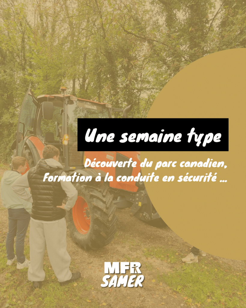 Une semaine type